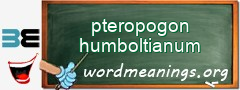 WordMeaning blackboard for pteropogon humboltianum